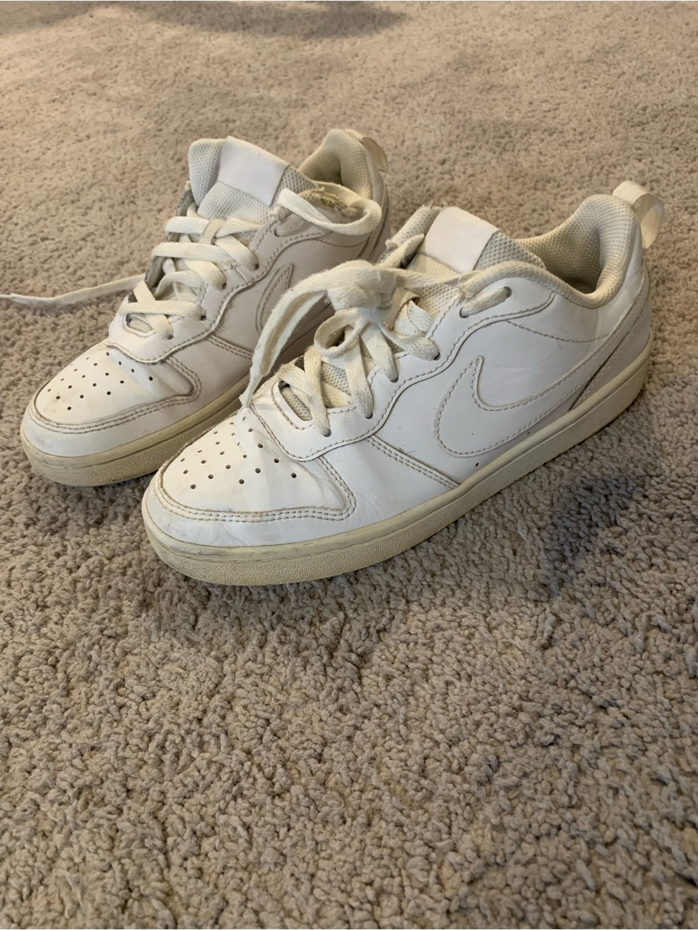 Nike Court Borough Low 2